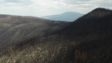 Aerial-view-of-charred-forest-trees-on-mountain,-wildfire-aftermath,-B