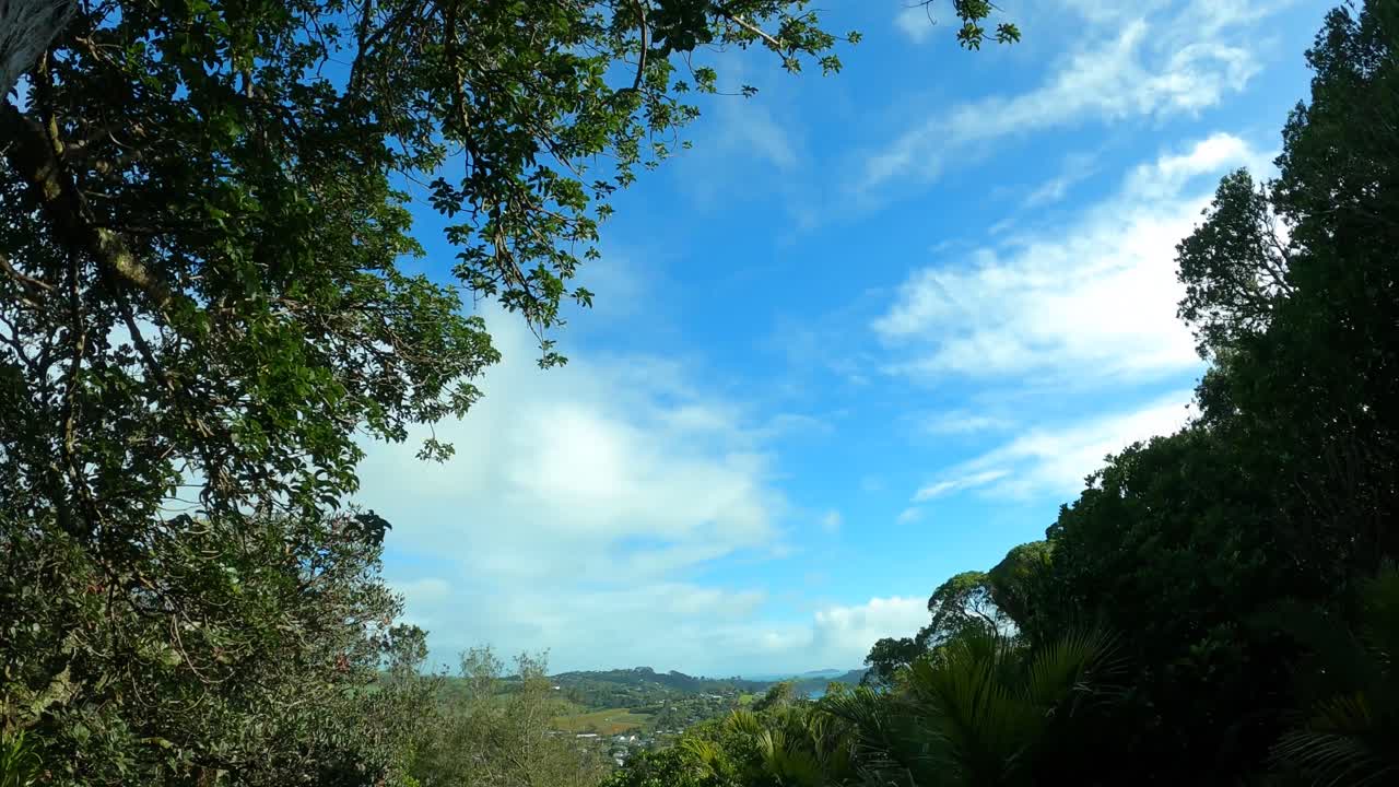 Time-lapse of clouds moving over forest on cloudy day, nature, changing skies