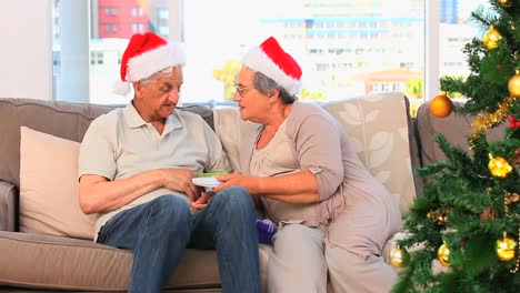 Älteres-Paar-Während-Des-Weihnachtstages