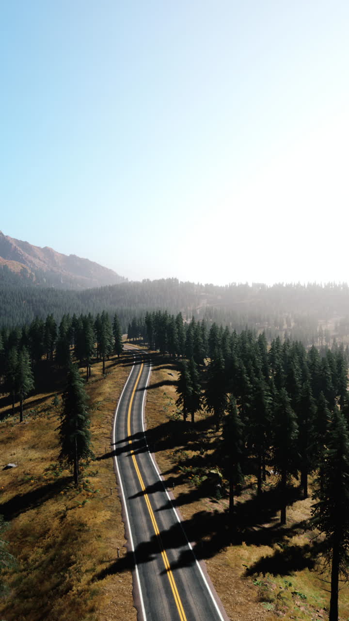 vista aérea de una carretera sinuosa a través de un bosque