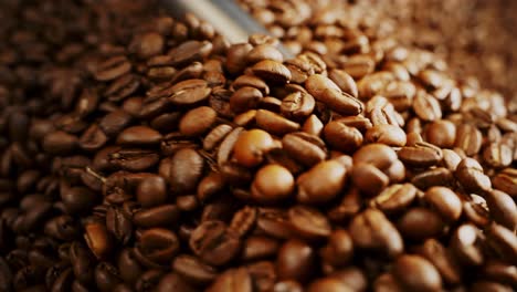 coffee beans processing