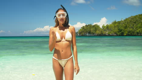 nunca te arrepentirás de unas vacaciones en la playa.