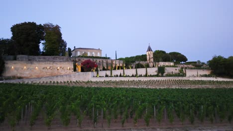 chateau and vineyards at dusk in bordeaux