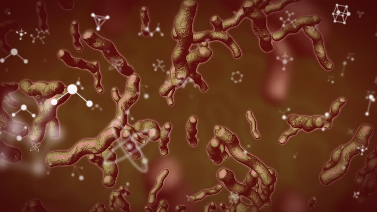 어두운 배경 위에서 움직이는 세포의 애니메이션