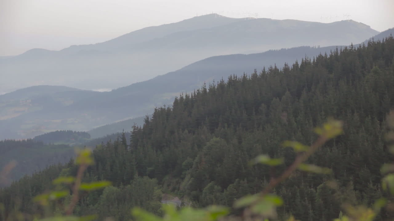 tiro en movimiento a lo largo de las montañas alemanas en verano