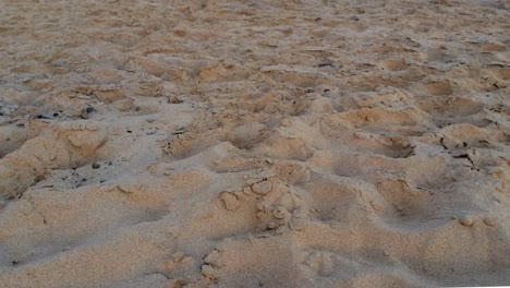 Strand-Am-Meer,-Geneigter-Sonnenuntergang-Im-Zeitraffer-Aus-Sand,-Nahaufnahme,-Wellen-Brechen-Am-Ufer,-Blauer-Himmel-Mit-Frachtschiff-Am-Horizont