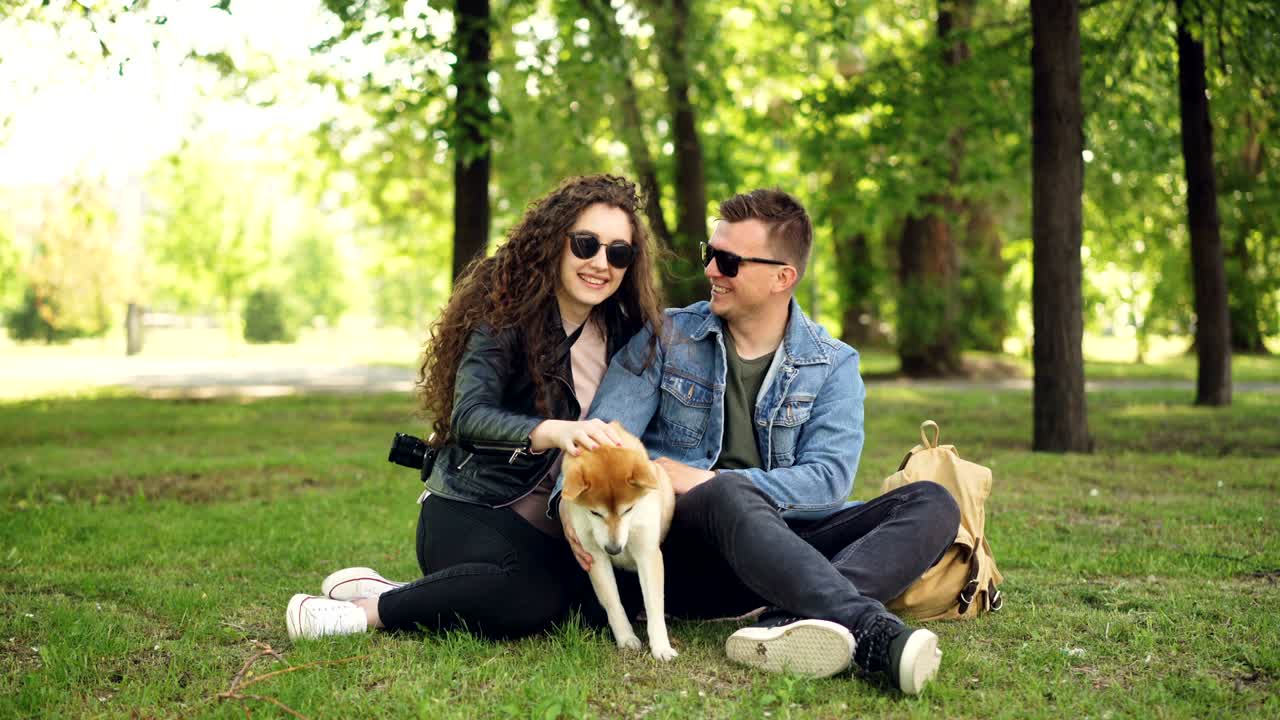 흥분한 젊은 사랑하는 커플은 귀여운 개 shiba inu의 털을 고, 이야기하고 웃으며 공원의 잔디에 앉아 있습니다.