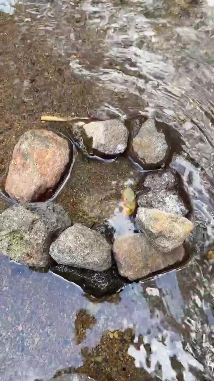 Acqua limpida che scorre intorno a un cerchio di pietre in un ruscello