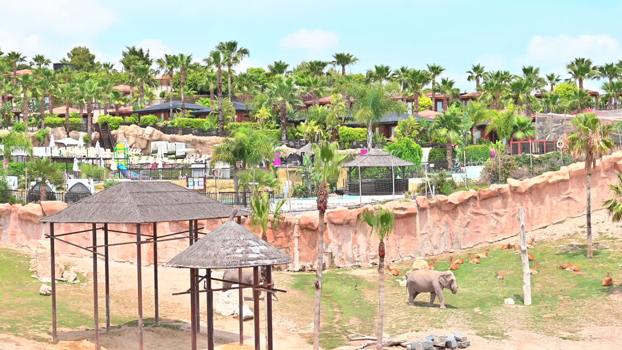 Elephants in a Safari Park