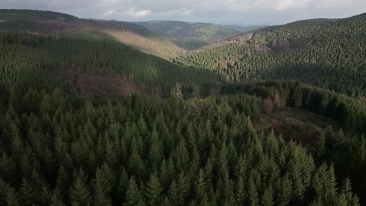 Splendida vista panoramica di una vasta foresta che si estende su colline e catene montuose in lontananza.