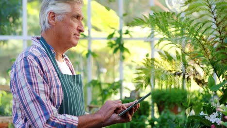 mature man using digital tablet