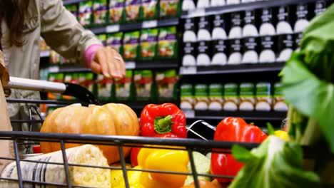 Mujer-Poniendo-Comestibles-En-El-Carrito-De-Compras