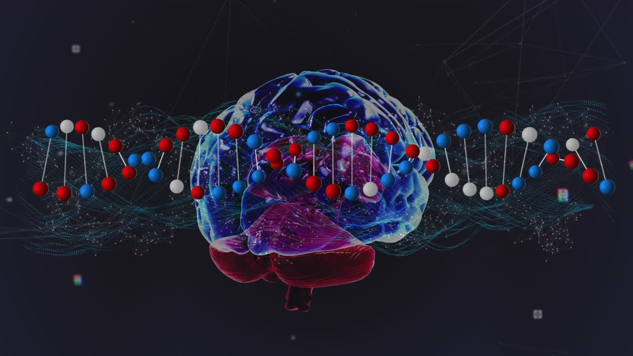 연결 네트워크와 인간의 뇌에서 회전하는 dna 가닥의 애니메이션