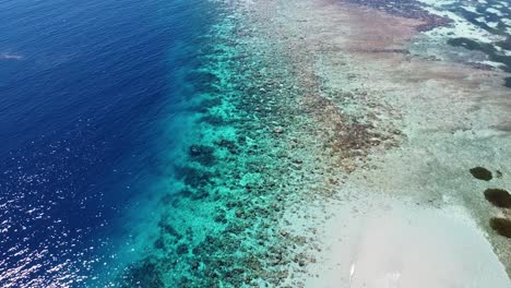 Reversing-aerial-drone-flight-over-stunning-healthy-biodiverse