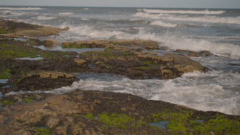 Playa-En-Un-Día-Soleado