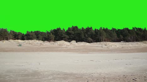 Sandstrand-Am-Meer-Und-Pinienwald.-Greenscreen-Himmel