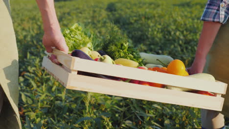 dos granjeros llevan una caja de verduras frescas a través del concepto de cosecha de verduras de campo