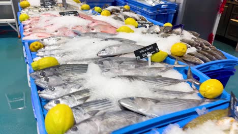 variety of fish and seafood on ice