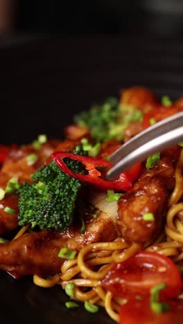 chicken stir-fry noodles