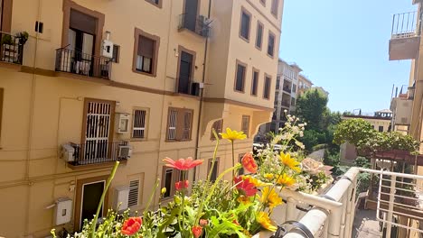 colorful flowers on a sunny balcony