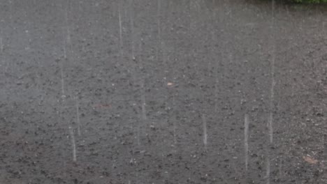 heavy rain, raindrops on the surface of the river with an irregular pattern