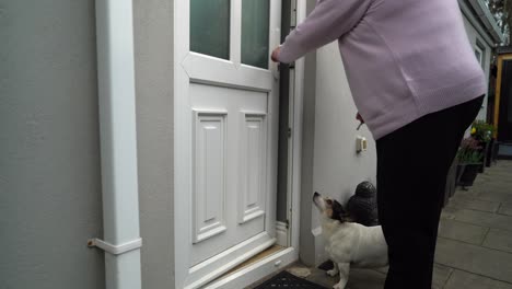 woman unlocks door and lets her jack russel dog into house closing door behind them