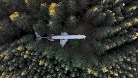 Avión-En-El-Bosque-Cerca-De-Portland-O