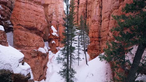 distinctive rock formations during winter at bryce canyon national park in utah, united states