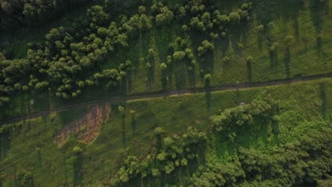 aerial shot of green woods and fields in russia