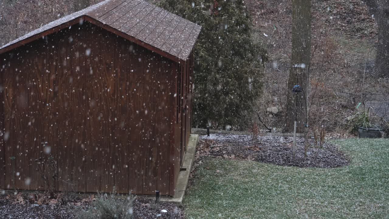 Snow Falling on Wooden Shed in Backyard