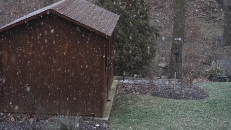 snow falling on wooden shed in backyard