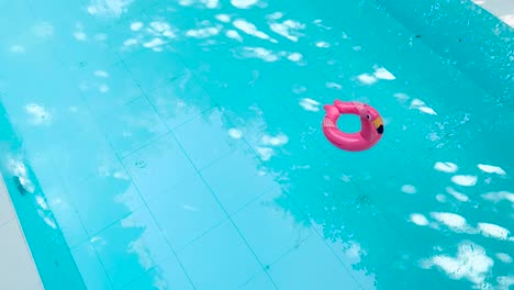 4k vdo cute and colourful swim ring floating in swimming pool