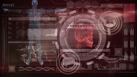 Animation-Des-Menschlichen-Körpers,-Spinnen-Von-DNA-Strängen-Und-Datenverarbeitung