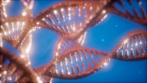estructura de la animación de doble hélice de adn