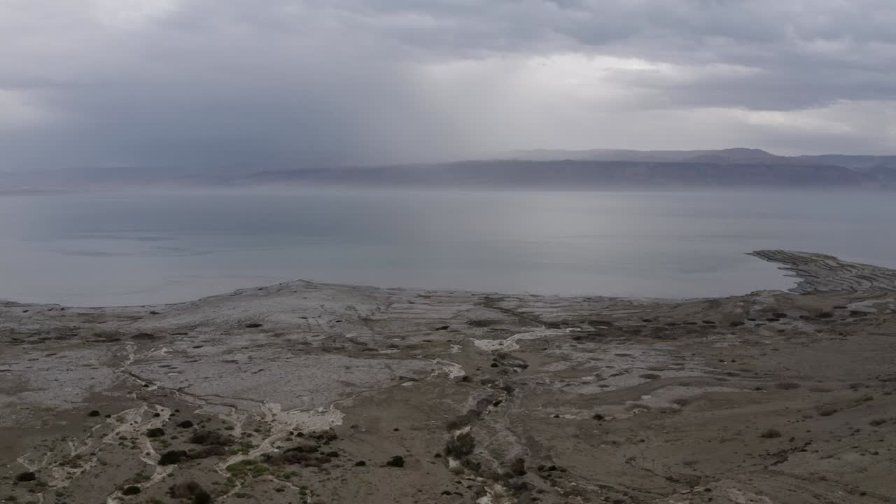 Costa del Mar Morto, insetto che vola giù e si concentra sull'acqua alluvionale, giorno nuvoloso, Israele