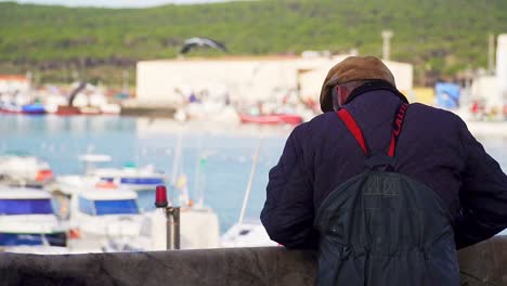 Old-fisherman-collecting-fishing-net-in-port-in-slow-motion-while-lot-of-seagulls-fly