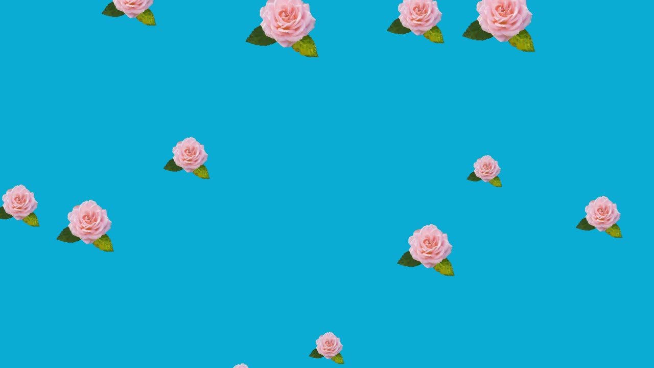 파란색 배경에서 최면적인 움직임으로 움직이는 분홍색 꽃의 애니메이션