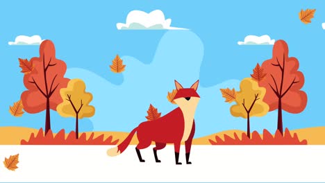 hello animación de otoño con zorro salvaje en escena de paisaje forestal