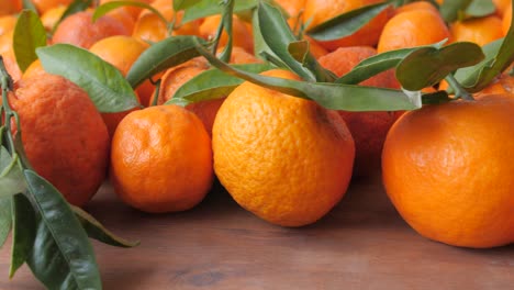 close up of organic tangerines freshly picked from the tree