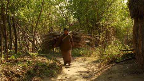 woman carrying firewood on a forest path