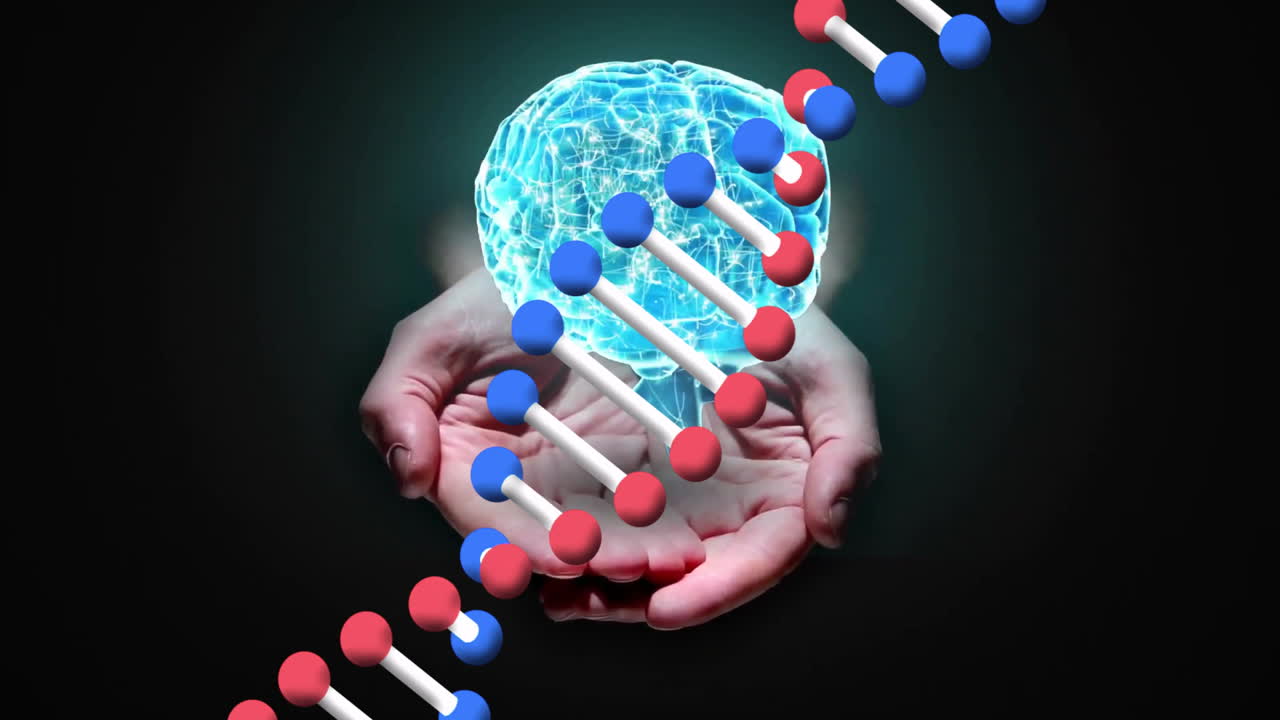 Holding DNA strand and brain hologram, hands symbolizing genetic research animation