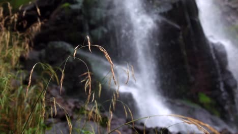 cinematic video of a large waterfall called the thurigon behind a mossy background in the middle of the day