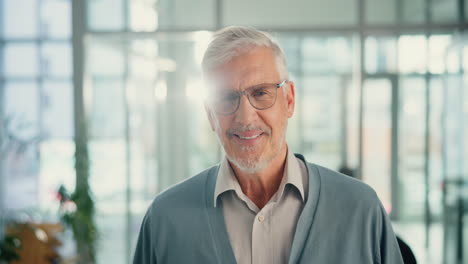 smiling senior businessman in office