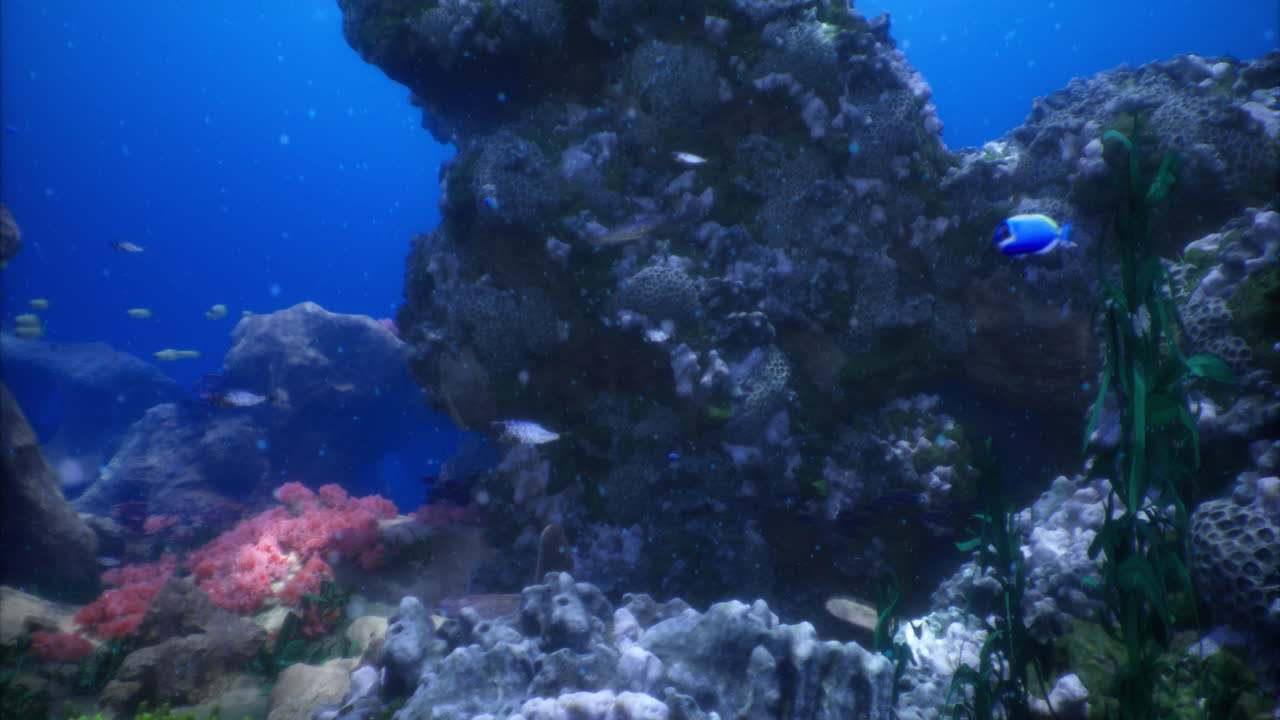 Vibrant underwater ecosystem teeming with colorful marine life in coral reef