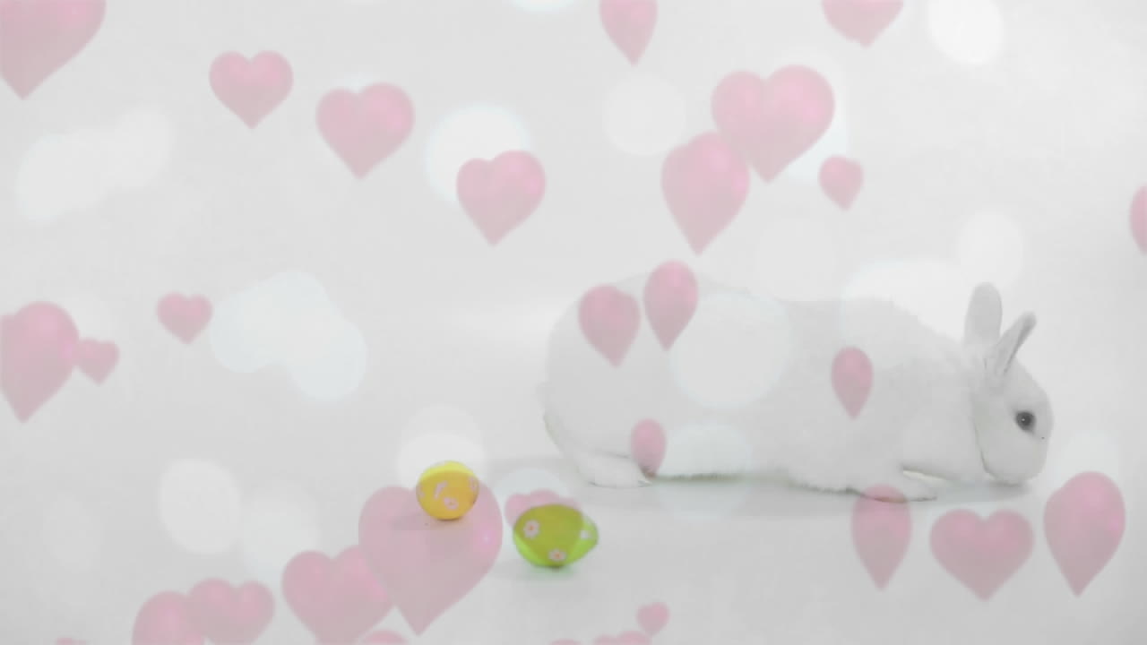 부활절 토끼와 달