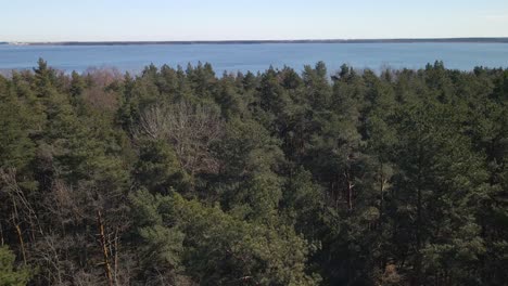 Aerial forward view above treetops approaching Lake Ülemiste. Fly above bare and evergreen trees revealing elevated woodland and shoreline, opening sight to blue reservoir. Opening sight to large lake