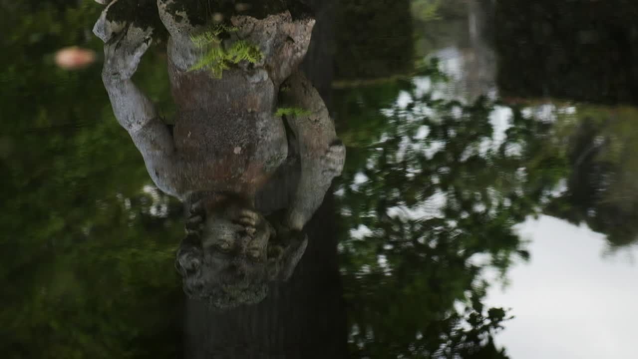 Tilt up across classical stone statue and reflection in slow motion ...