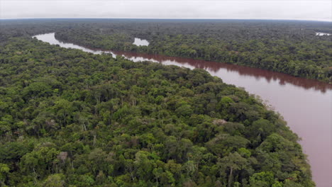 Aerial-decent-over-Amazon-river,-snaking-through-jungle-on-an-overcast-day