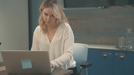 pretty young blonde business woman working with a laptop