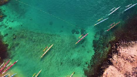 beautiful aerial over many outrigger canoes at the start of a race in hawaii